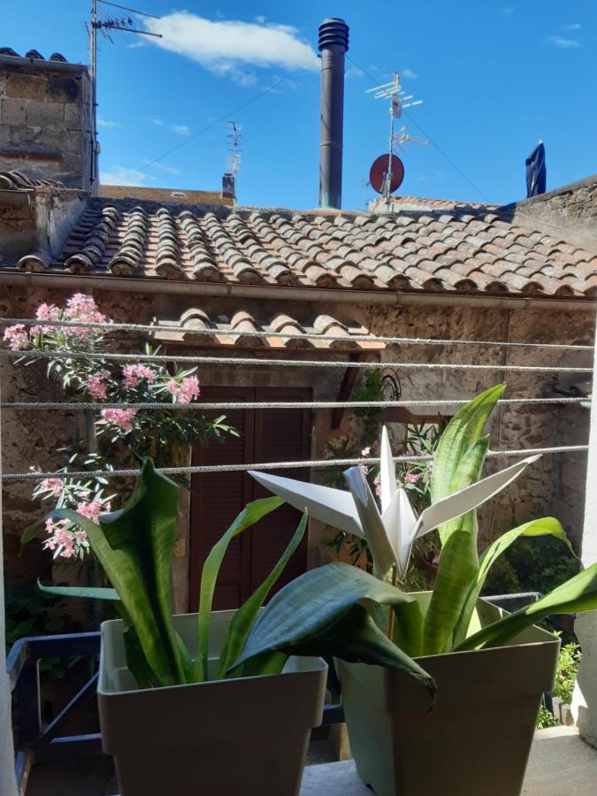 Casa Il Girasole Pitigliano Apartment Екстериор снимка